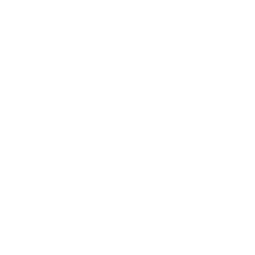 akcija